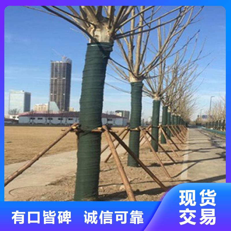 裹树布,土工布专注质量