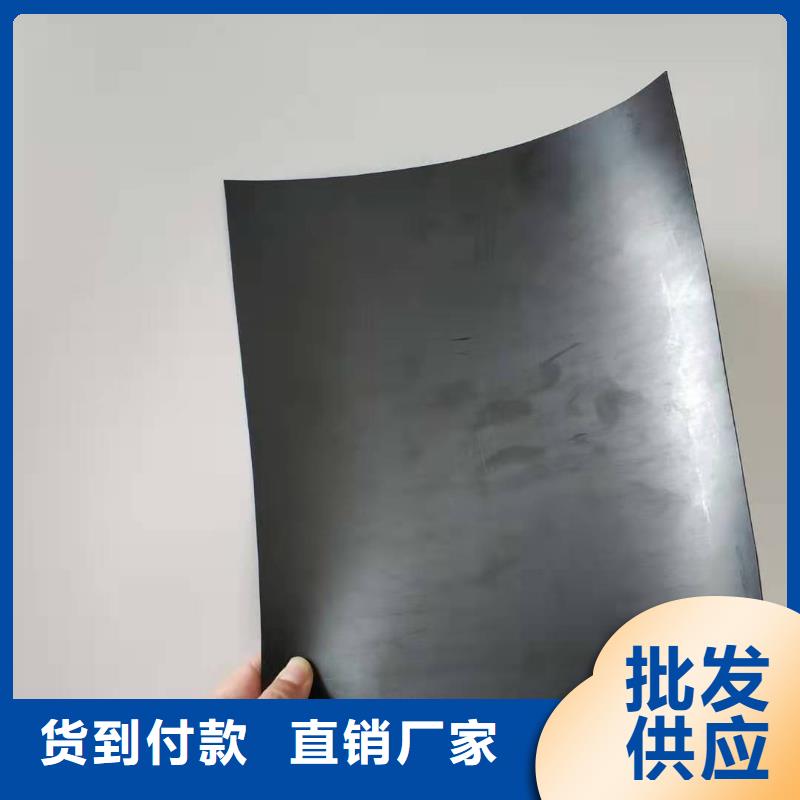 土工膜_土工格栅批发商