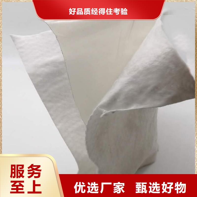 土工布土工膜多年经验值得信赖
