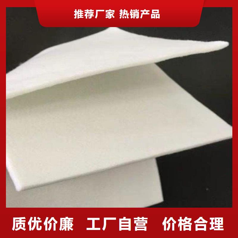 土工布土工膜多年经验值得信赖