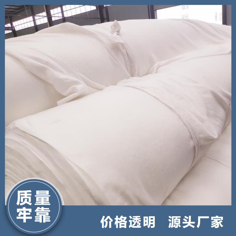 土工布土工膜多年经验值得信赖