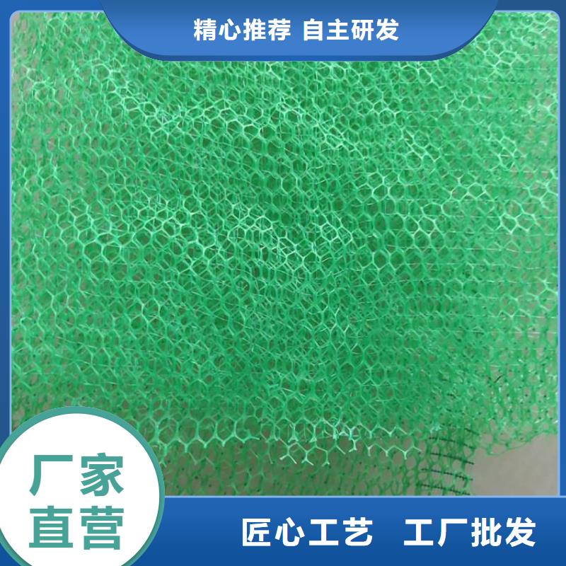 三维植被网【土工布】品质做服务