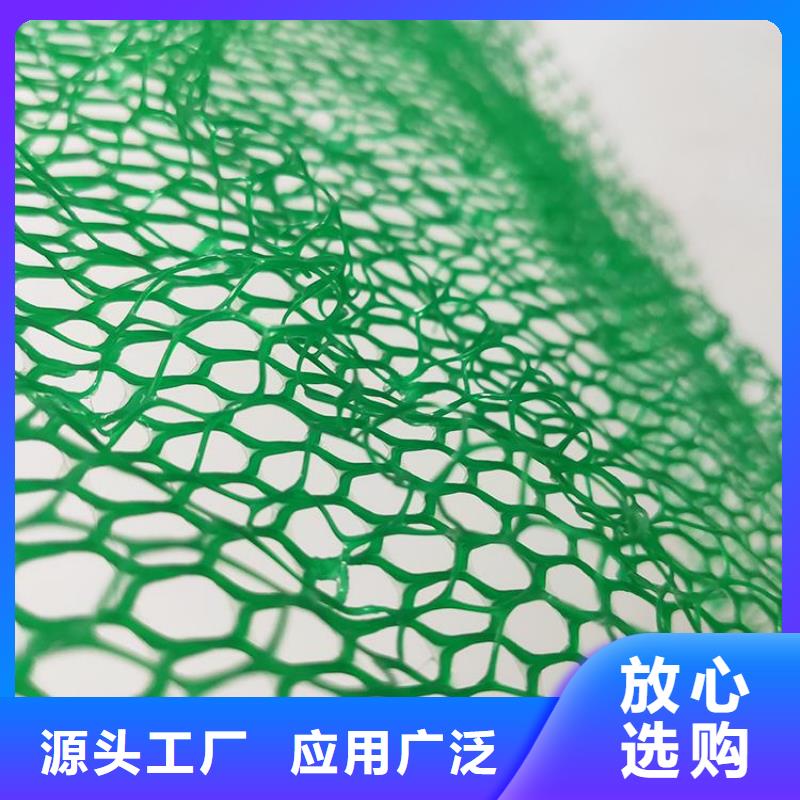 三维植被网网格布供应采购