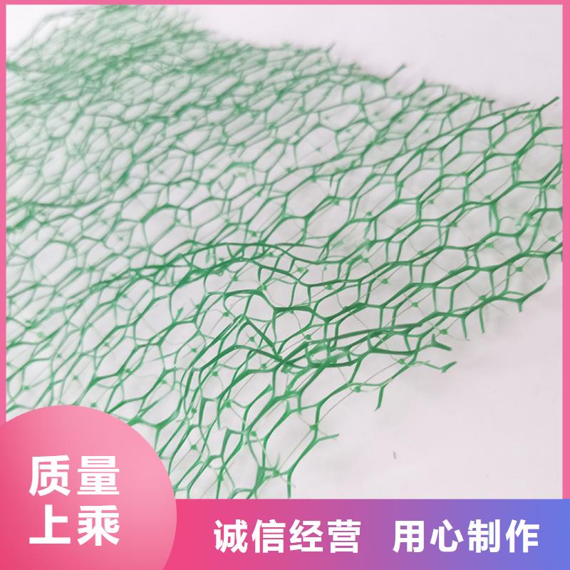 三维植被网网格布供应采购