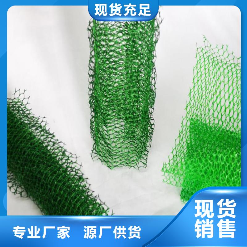 三维植被网橡胶支座生产厂家