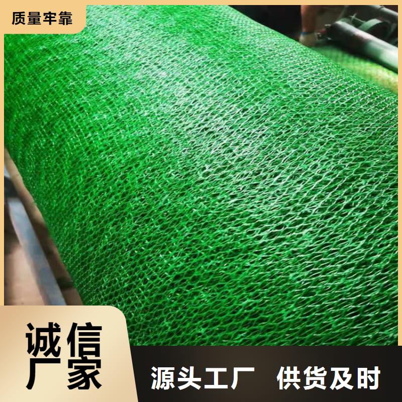 三维植被网橡胶支座生产厂家