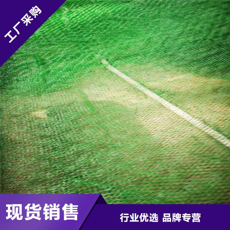 三维植被网通风降噪丝网快速发货