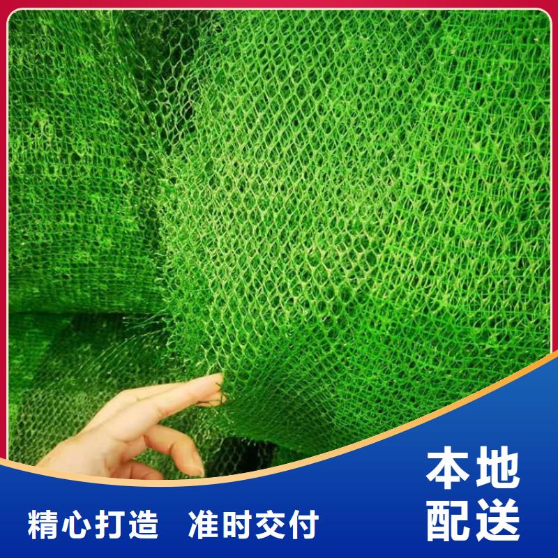 三维植被网通风降噪丝网快速发货