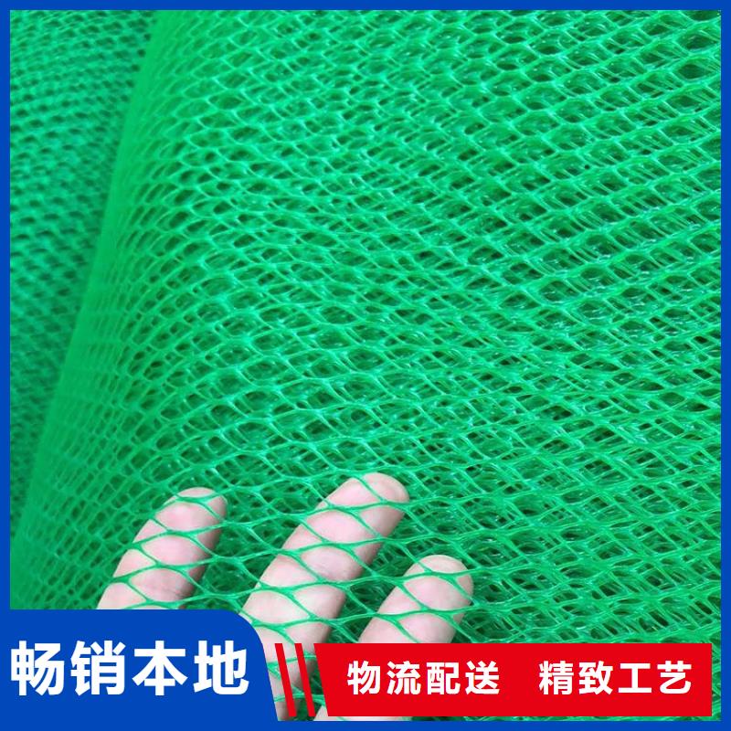 三维土工网垫-护坡三维土工网垫