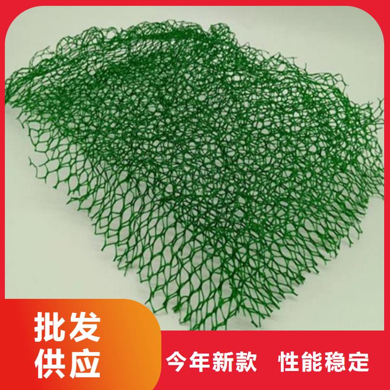 三维植被网橡胶支座生产厂家