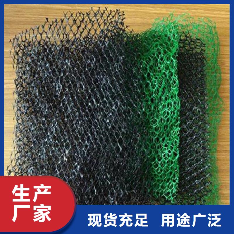 吉安诚信护坡加筋网垫-三维网植草护坡型号结构