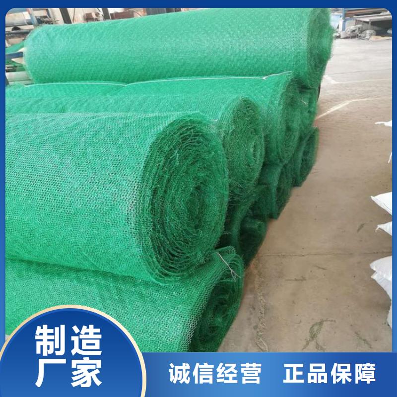 【三维植被网,防渗膜大厂生产品质】