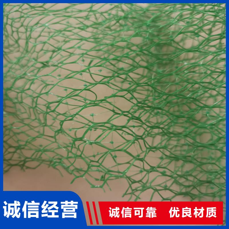 三维植被网-土工膜产品参数