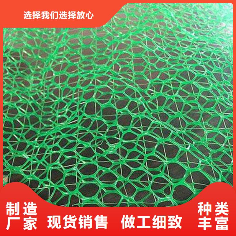 三维植被网通风降噪丝网快速发货