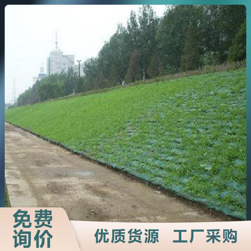 三维土工网垫-绿色三维植被网型号全