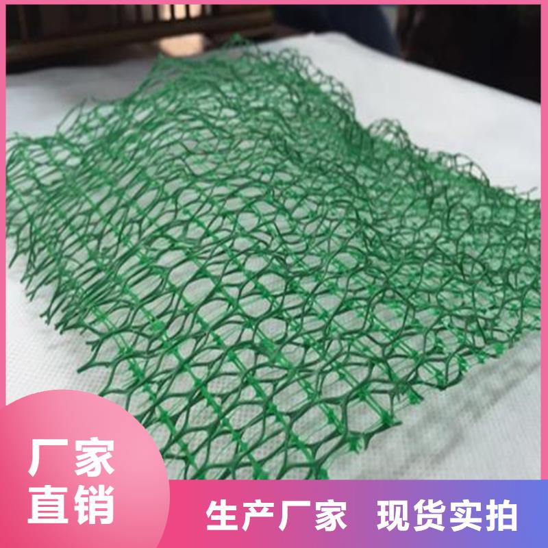 三维土工网垫-绿色三维植被网型号全