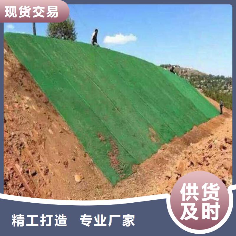 绿化EM5三维固土网垫