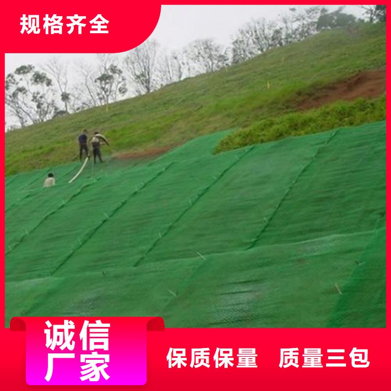 选购《中齐》三维植草护坡网垫-加筋三维土工网垫