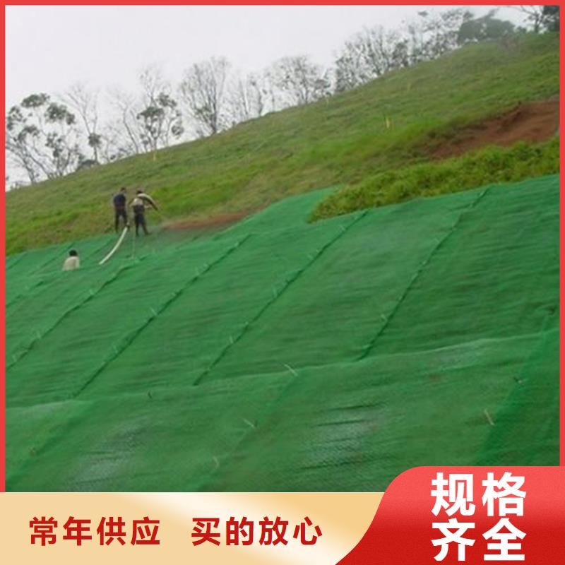 出厂价《中齐》三维护坡植草网垫施工团队