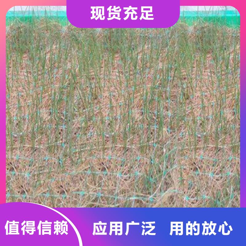 植物纤维毯-加筋抗冲生物毯