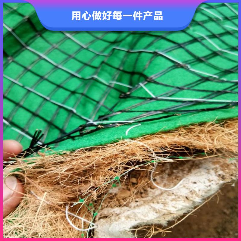 椰纤植生毯-生态环保草毯直供厂家