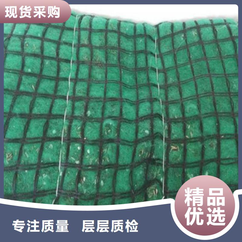 椰丝毯土工格室专心专注专业