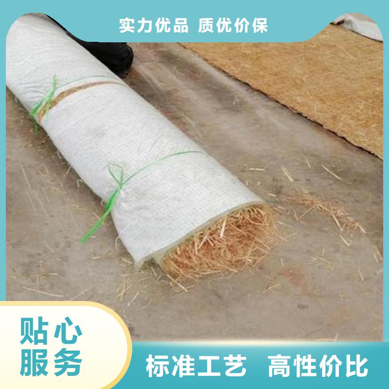 植物生态防护毯可定做