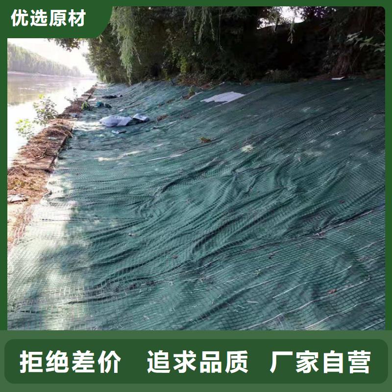 铁路植生毯厂家市场经销