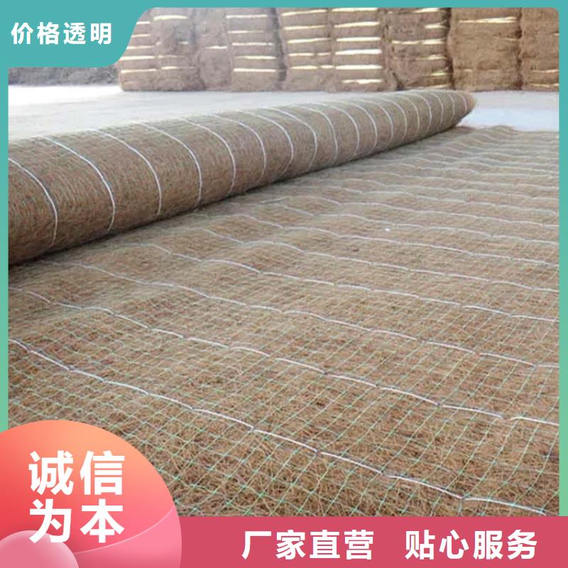 本土《中齐》植生椰丝毯-加筋抗冲生物毯-水保植物纤维毯