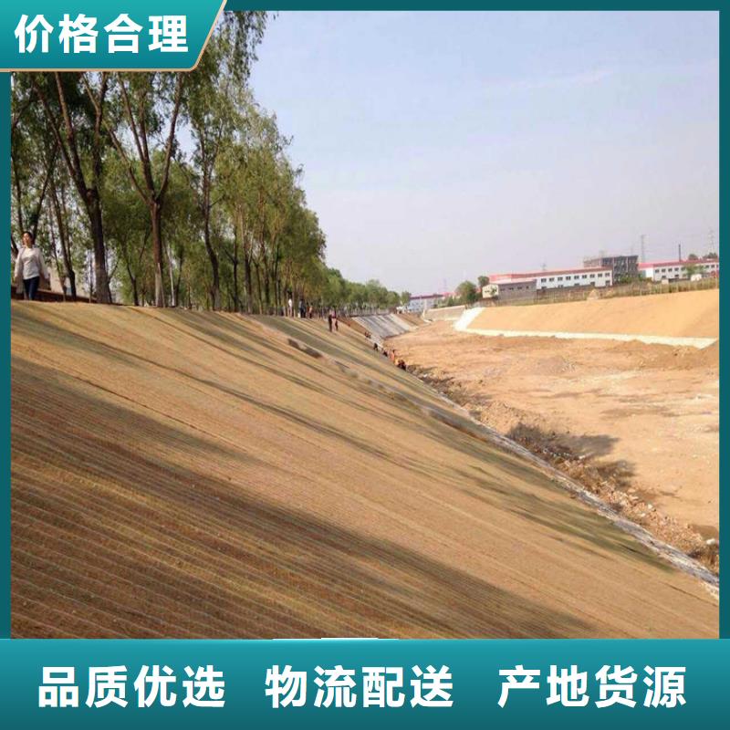 供应商[中齐]河道环保草毯-植生草毯