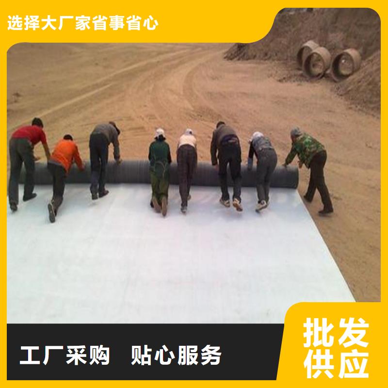 膨润土防水毯土工格栅无中间商厂家直销