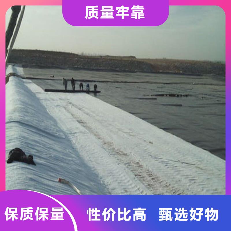 膨润土防水毯土工格栅无中间商厂家直销