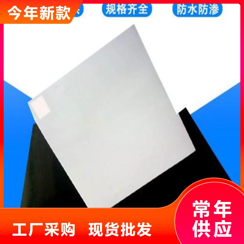 防水板【玻纤土工格栅】原厂制造