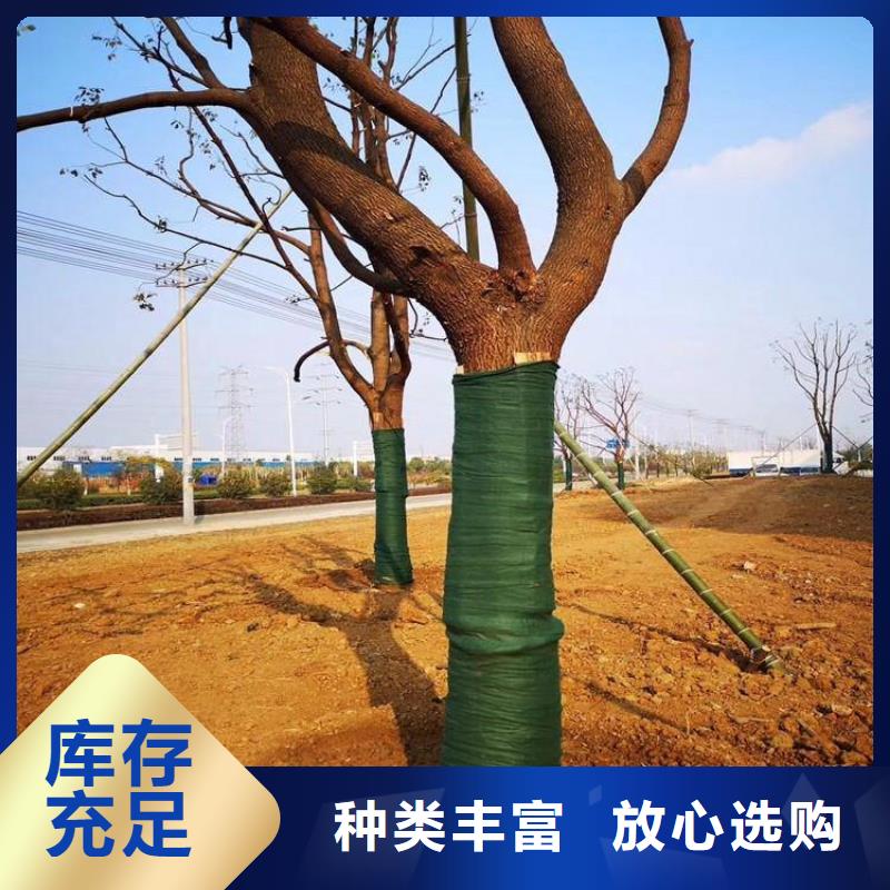 裹树布,土工格栅专业生产设备