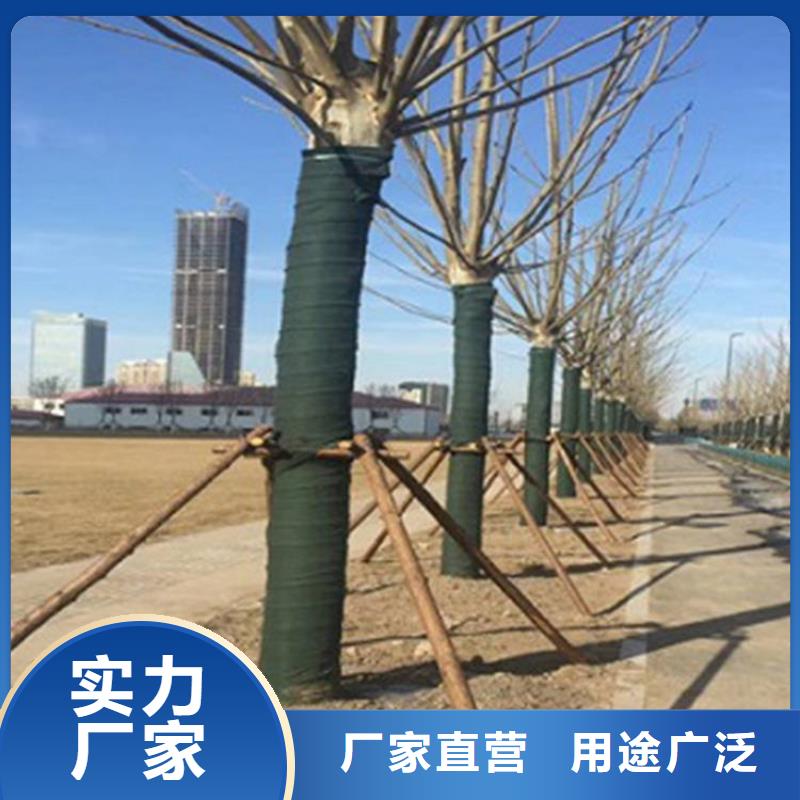 裹树布_玻纤格栅源头厂源头货
