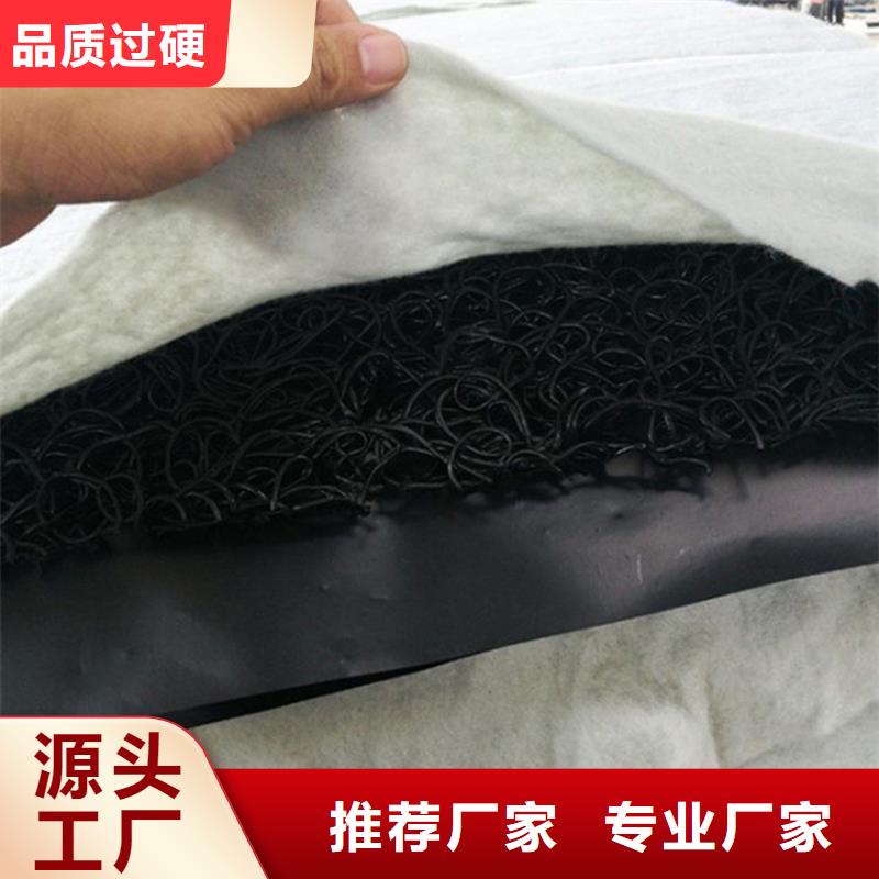 土工席垫HDPE土工膜匠心打造