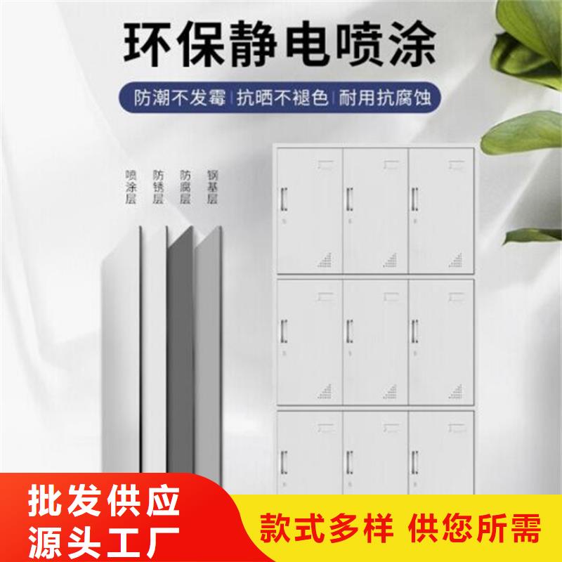 更衣柜双柱钢制书架