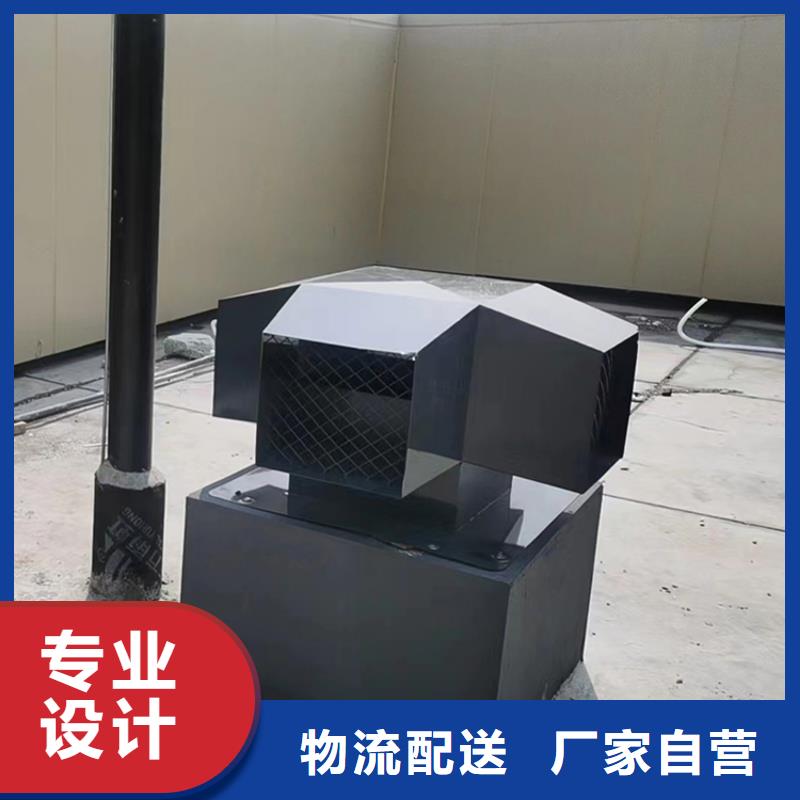 注重C-FD-350防倒灌风帽质量的厂家