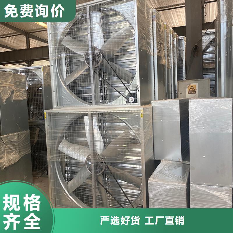 强力抽风机大棚养殖扇快速降温生产厂家