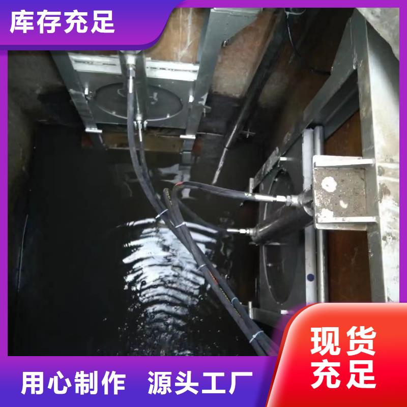朗县雨水泵站闸门