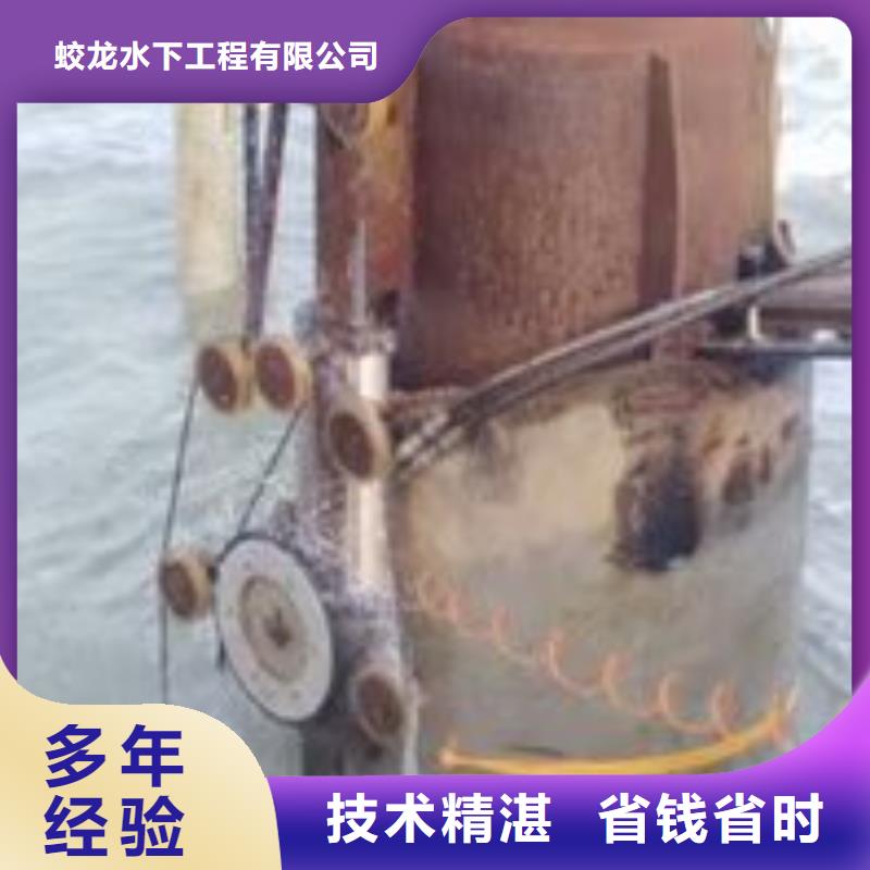 供应水库导流洞潜水员封堵公司品牌厂家