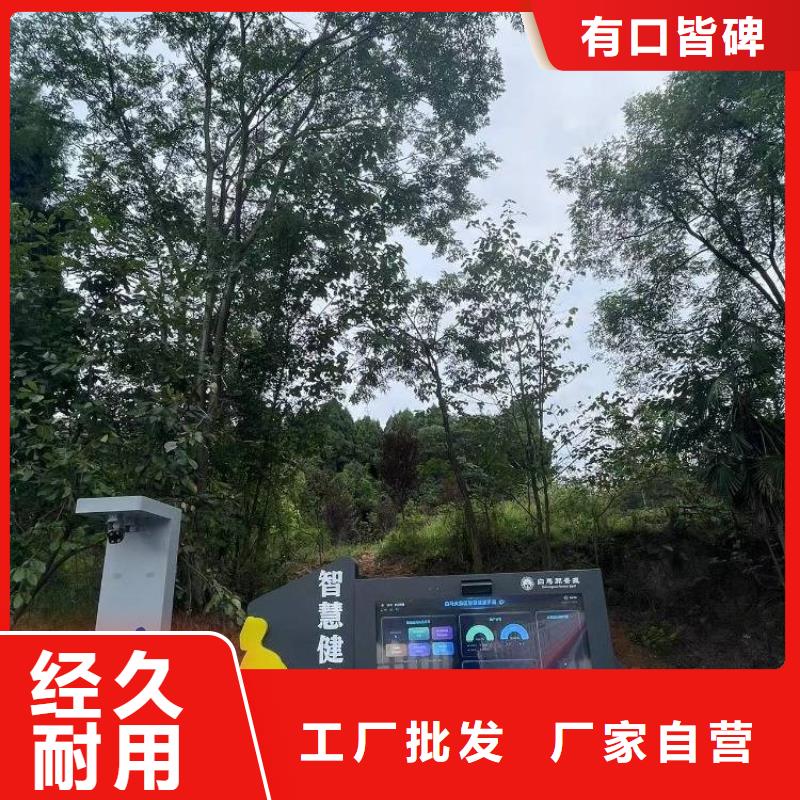 智慧健身步道价格（维艾狄尔）