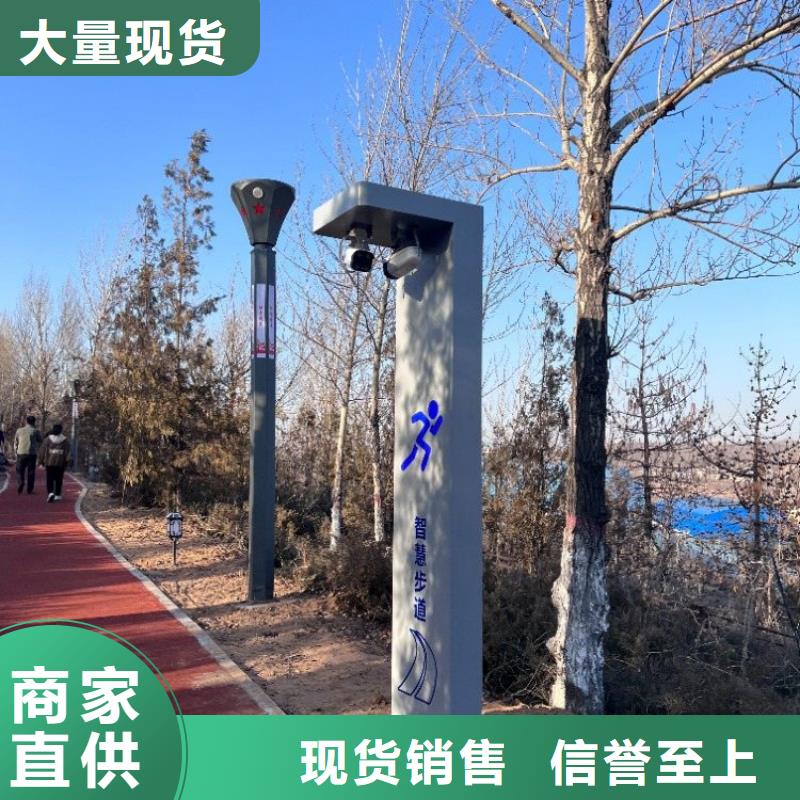 公园智慧跑道多少钱