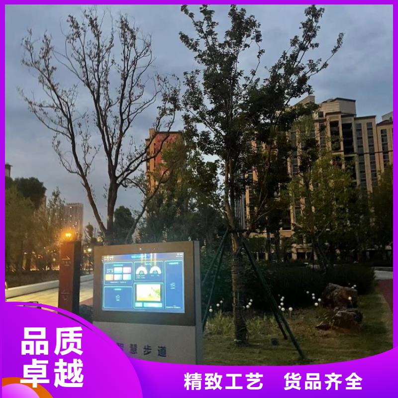 健身智能跑道造价（维艾狄尔）