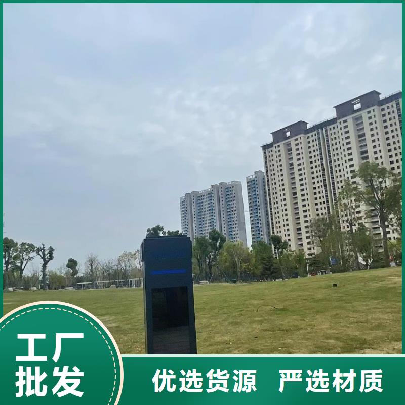 光影陪跑费用（维艾狄尔）