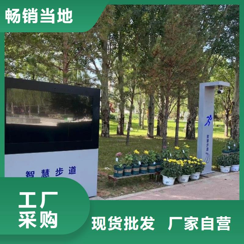 无感智慧步道价格（维艾狄尔）