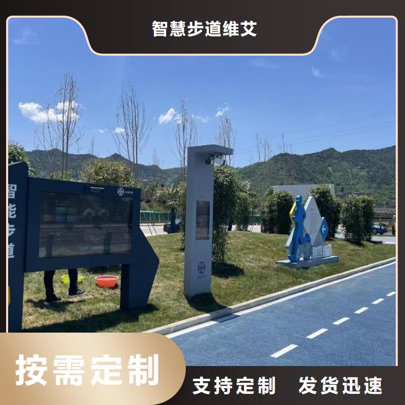 光影陪跑造价（维艾狄尔）