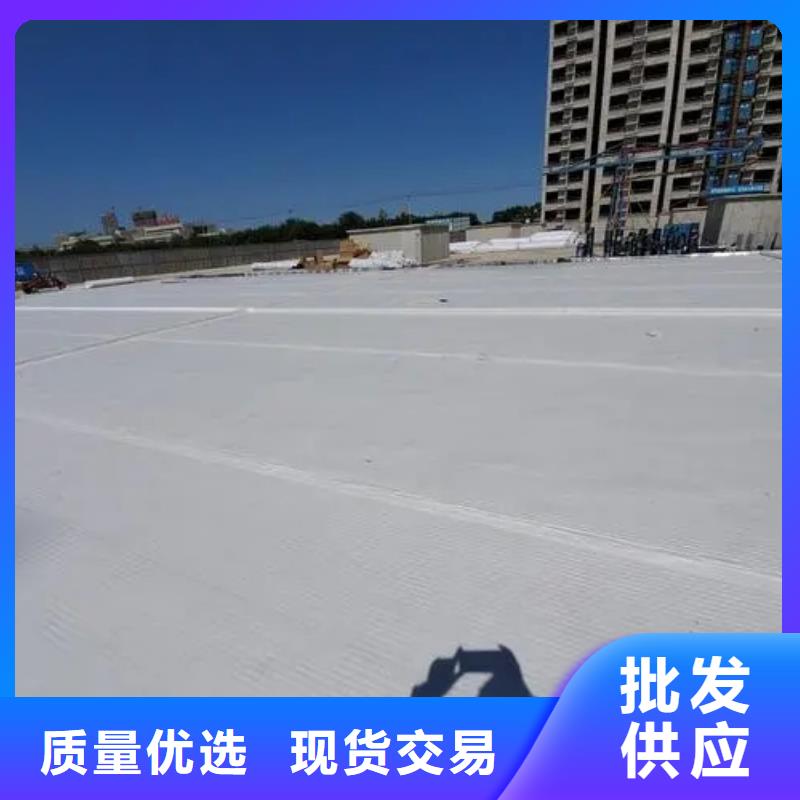 虹吸排水水泥化粪池品质商家
