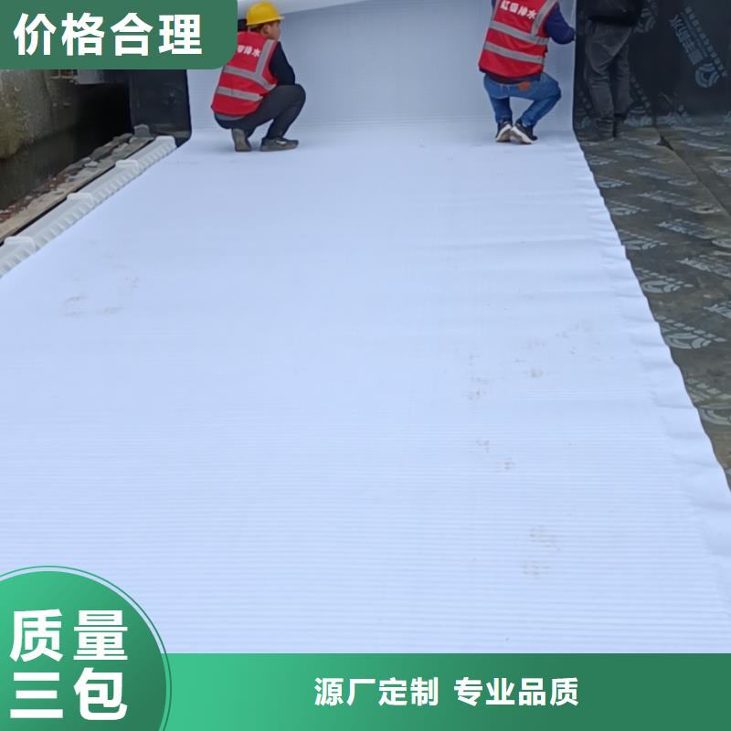 虹吸排水植草格支持大小批量采购
