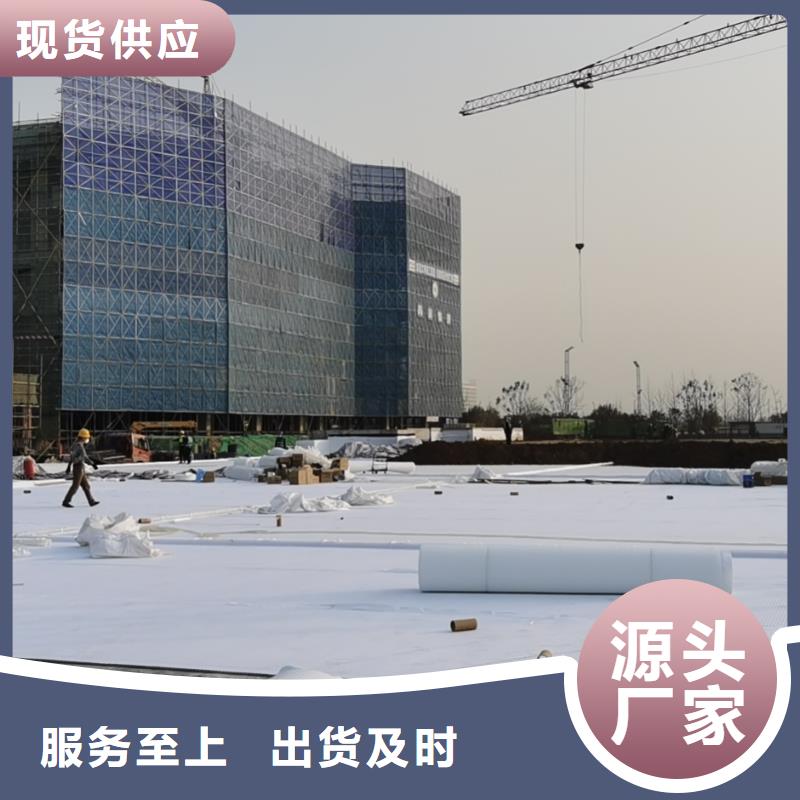 虹吸排水植草格支持大小批量采购